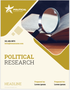 political research paper ideas