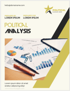 Political Analysis Report Cover Page